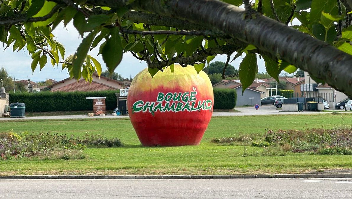 Pomme de Bougé Chambalud